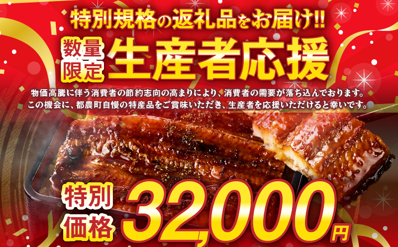 【年内発送】【数量・期間限定 特別規格】うなぎ蒲焼5尾(さんしょう・たれ付き)計800g以上 鰻 魚 魚介 加工品 国産_T026-0032-12