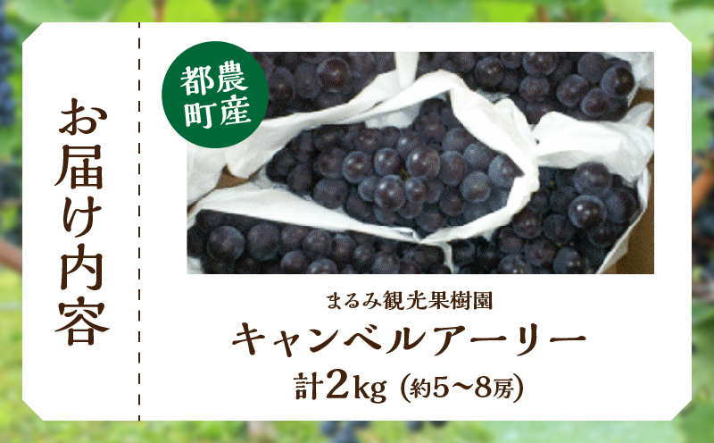 まるみ果樹園のぶどう『キャンベルアーリー』(計2kg) 葡萄 果物 フルーツ 天然 ミネラル栽培_T036-003