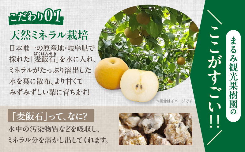 先行予約≪期間限定≫まるみ観光果樹園の『新高梨』(約4kg) なし 果物 フルーツ 天然 ミネラル栽培_T036-0025