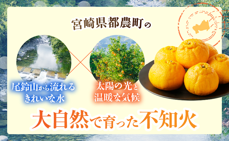 先行予約≪期間限定≫都農町産「不知火(しらぬい)計6kg」 フルーツ 果物 柑橘 みかん 国産_T008-002
