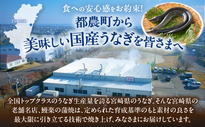 うなぎ蒲焼5尾(さんしょう・たれ付き)計800g以上 鰻 魚 魚介 加工品 国産_T026-0031