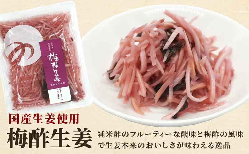 ＼ポスト投函／梅酢生姜100g おかず 漬物 野菜 加工品 国産_T037-0101
