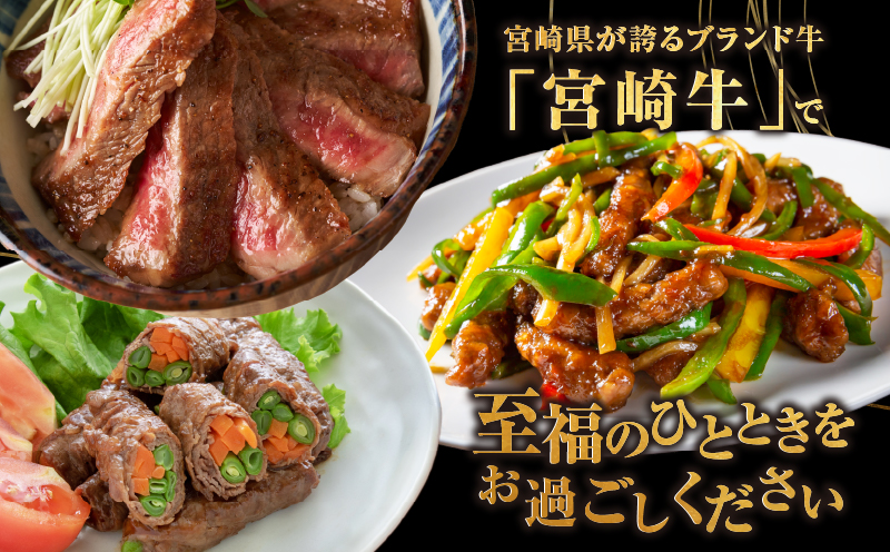 ≪3か月定期便≫夢の宮崎牛食べつくしセット(総重量3kg) 肉 牛 牛肉 おかず 国産_T030-1423