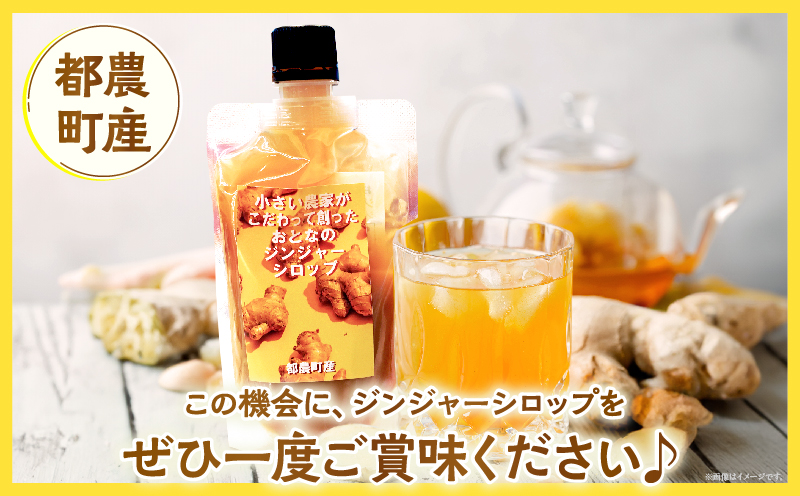 都農町産ジンジャーシロップ(計1本) 生姜 加工品 国産_T024-013