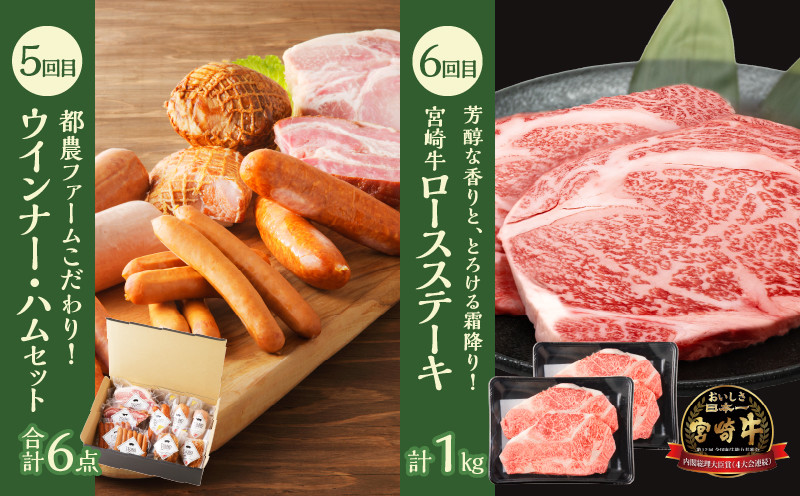 ≪6か月お楽しみ定期便≫都農町定期便(竹) 肉 加工品 鰻 国産_T999-0066