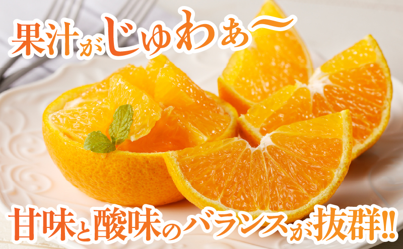 先行予約≪期間限定≫都農町産「不知火(しらぬい)計6kg」 フルーツ 果物 柑橘 みかん 国産_T008-002