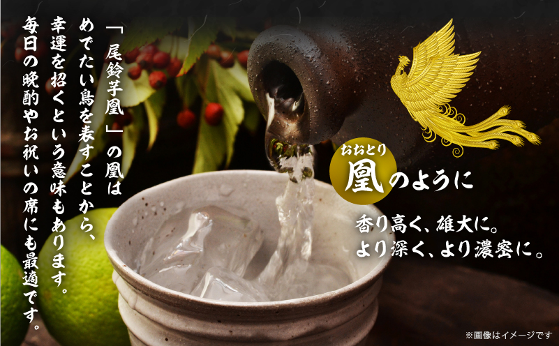 【2週間以内発送】幻の本格芋焼酎『尾鈴芋凰(おすずいもおう)』2本(25度) 酒 アルコール 飲料 国産_T016-0041