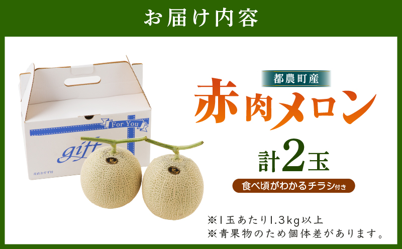 先行予約≪期間限定≫都農町産「赤肉メロン」計2玉 フルーツ 果物 デザート 国産_T015-0061-F