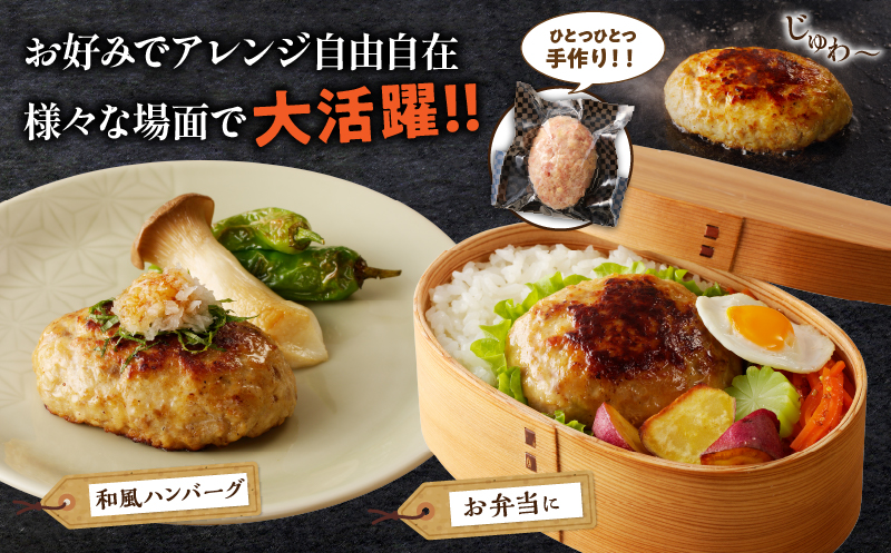 宮崎県産豚プレミアムハンバーグ(計10個) 肉 豚肉 加工品 惣菜 国産_T001-0101