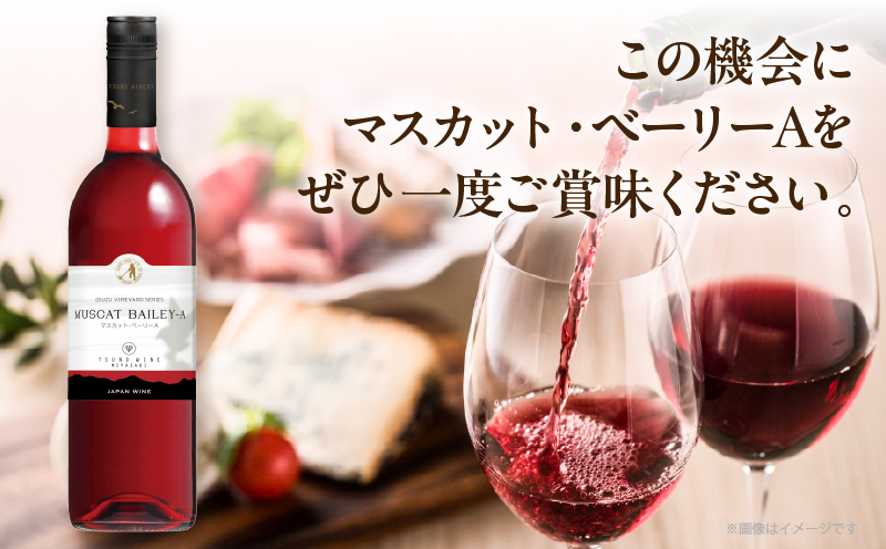 【選べる内容量】 数量限定 マスカット・ベーリーA 1本 or 2本