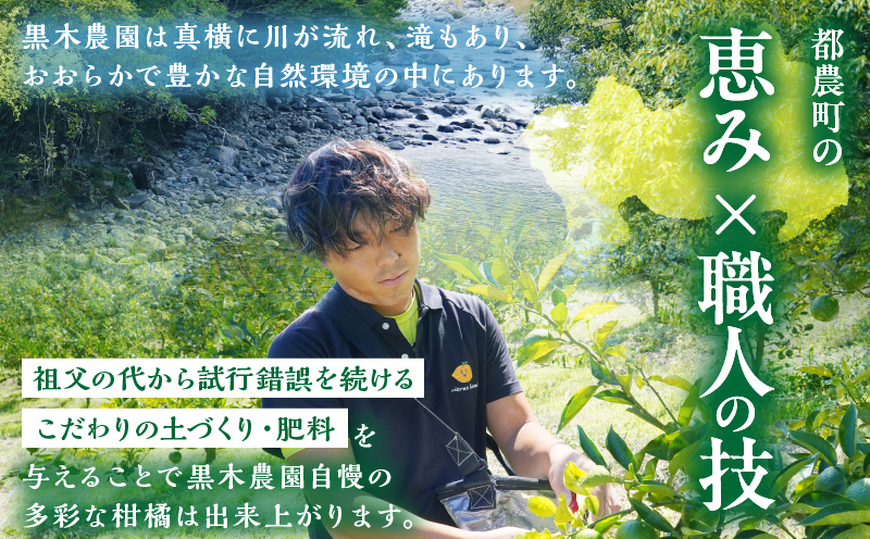 先行予約≪期間限定≫都農町産「南高梅(Lサイズ)」計5kg 梅 梅干し 果物 国産_T008-012