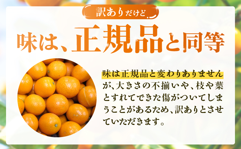 先行予約≪数量限定≫訳ありhiro君ハウスの『完熟きんかん(計2kg)』フルーツ 果物 金柑 国産_T022-003