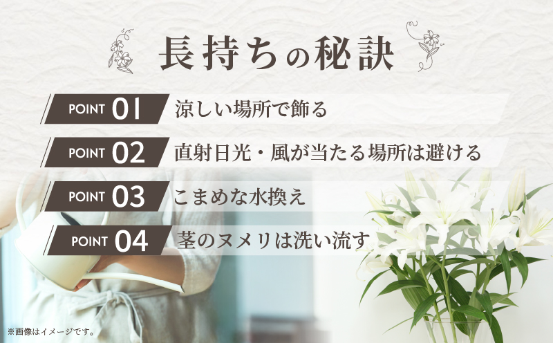 【2週間以内発送】≪期間限定≫LA ユリ(白) 約15本 生花 切花 百合 国産_T045-0041