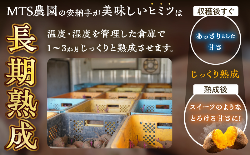 先行予約≪期間限定≫都農町産安納芋(計10kg) 野菜 芋 イモ 国産_T016-0021