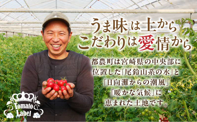 生産者応援!!【期間・数量限定特別規格】高糖度ミニトマト『ニーゴ25。』(計2kg) ミニトマト 野菜 サラダ 国産_T040-0021-ZO