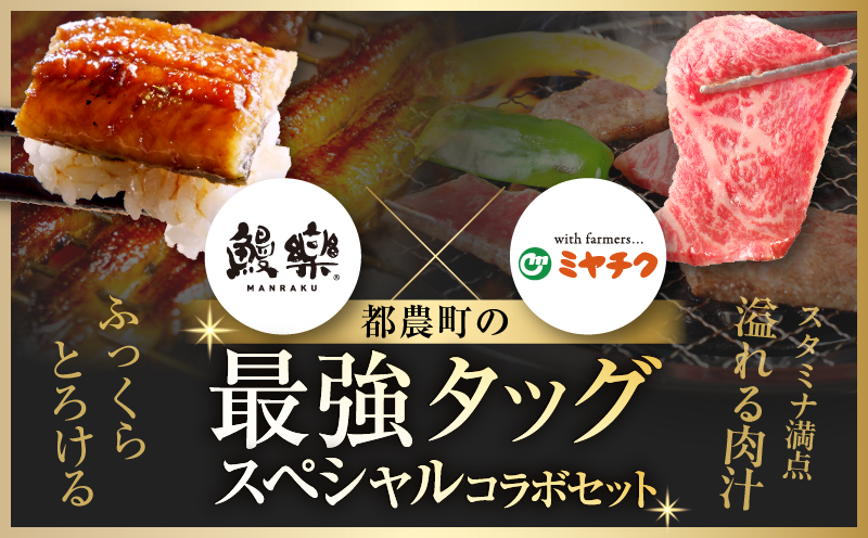 ≪数量限定≫うなぎ×宮崎牛 都農町最強セットC 肉 牛 牛肉 焼肉 国産_T030-1313