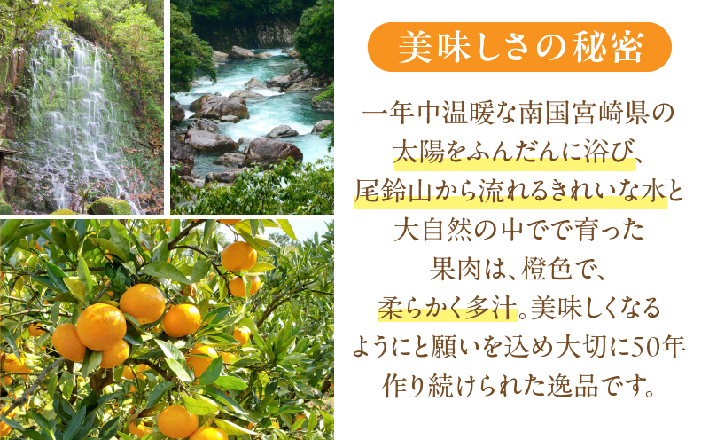 先行予約≪数量限定≫訳あり不知火(つのぽん)約5kg フルーツ 果物 柑橘 みかん 国産_T002-002