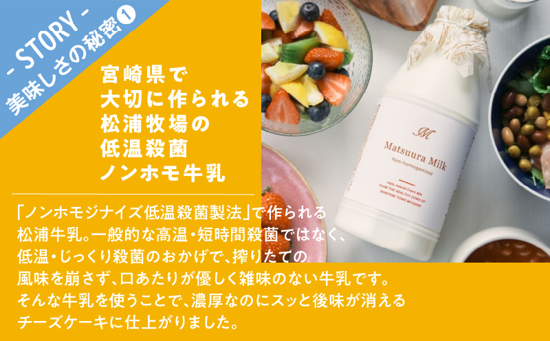 農の都で生まれた「都のチーズケーキ」計1個 スイーツ 洋菓子 国産_T038-009