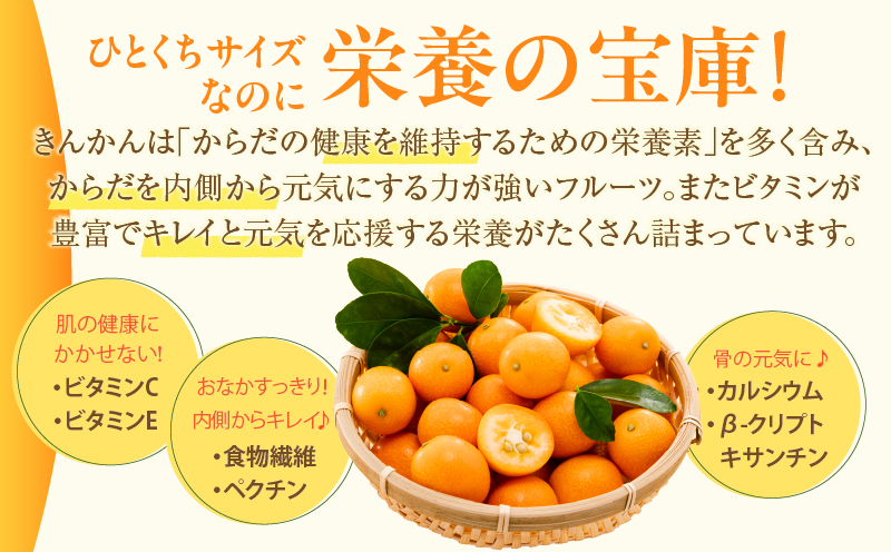 先行予約≪数量限定≫完熟きんかん(計1kg) 化粧箱入り フルーツ 果物 柑橘 国産_T042-0021