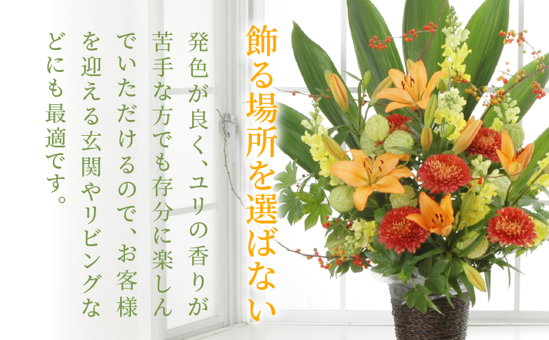 【2週間以内発送】≪期間限定≫LA ユリ(オレンジ) 約15本 生花 切花 百合 国産_T045-0071