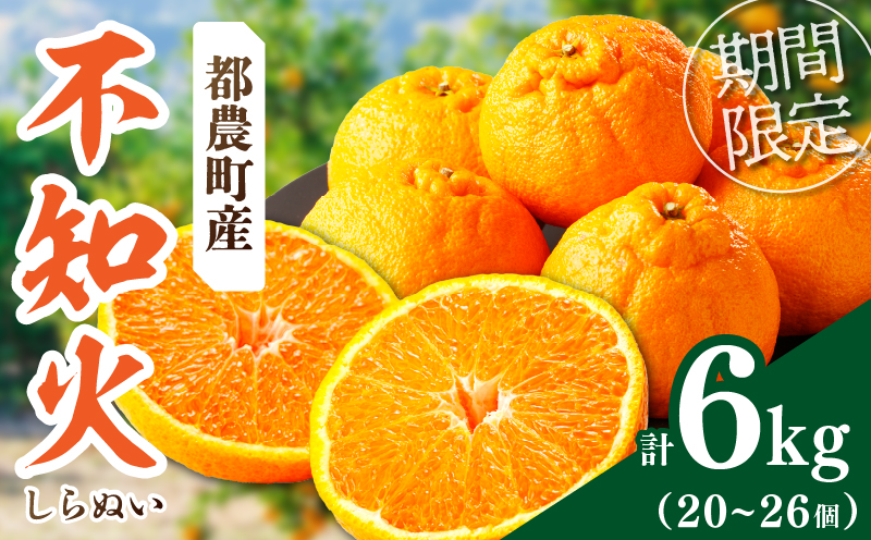 先行予約≪期間限定≫都農町産「不知火(しらぬい)計6kg」 フルーツ 果物 柑橘 みかん 国産_T008-002