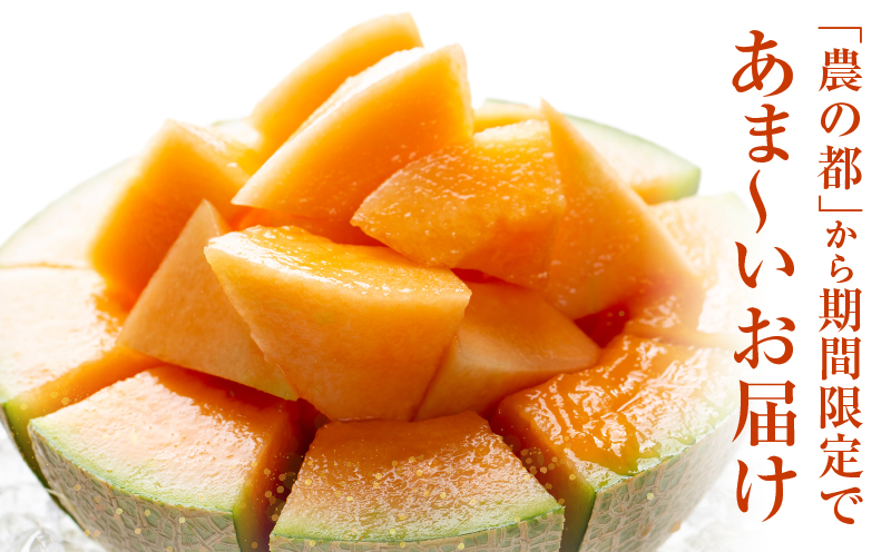 夏用 先行予約≪期間限定≫都農町産「赤肉メロン」計2玉 フルーツ 果物 デザート 国産_T015-0065-N