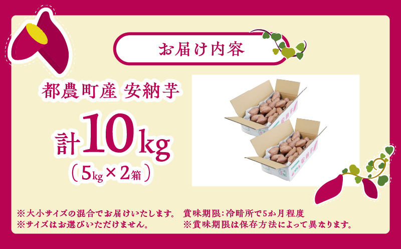 先行予約≪期間限定≫都農町産安納芋(計10kg) 野菜 芋 イモ 国産_T016-0021