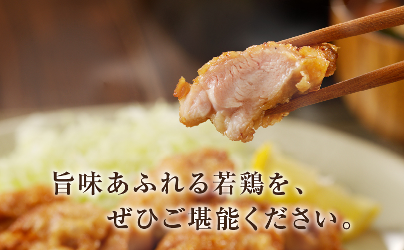 《隔月3回定期便》宮崎県産若鶏もも肉切身(総重量9kg) 肉 鶏 鶏肉 国産_T017-0091