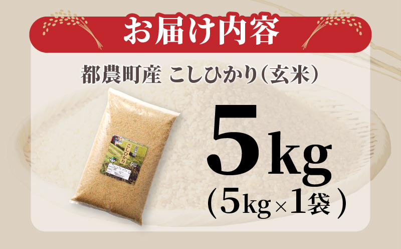 先行予約≪都農町産≫新米コシヒカリ(玄米)5kg 米 お米 ご飯 国産_T031-0035