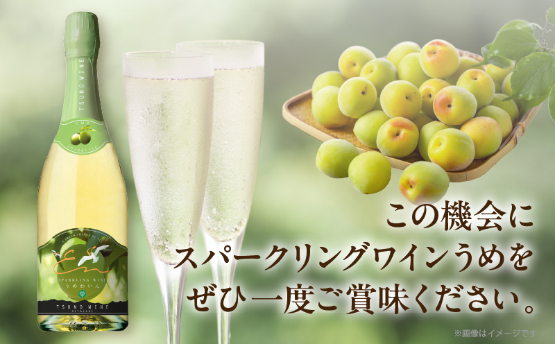 【数量限定】スパークリングワインうめ(計1本) 酒 飲料 アルコール 国産_T014-030