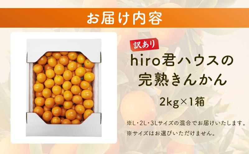 先行予約≪数量限定≫訳ありhiro君ハウスの『完熟きんかん(計2kg)』フルーツ 果物 金柑 国産_T022-003