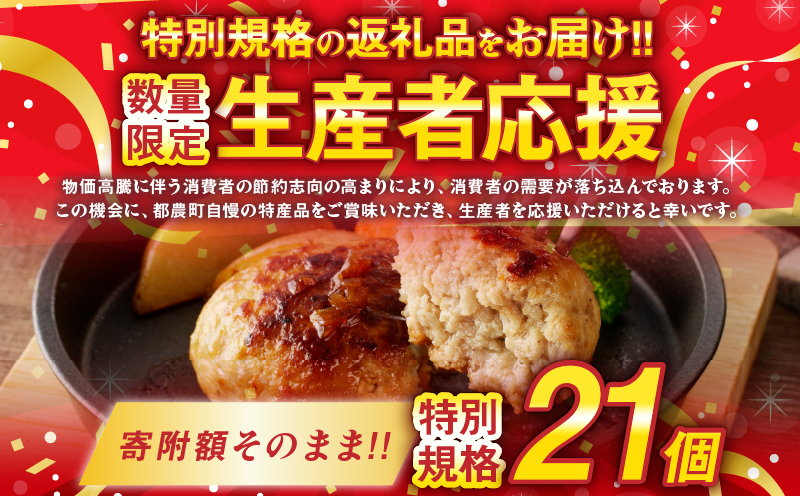生産者応援!!【期間・数量限定特別規格】宮崎県産豚プレミアムハンバーグ(計21個) 肉 豚肉 加工品 惣菜 国産_T001-0121-ZO