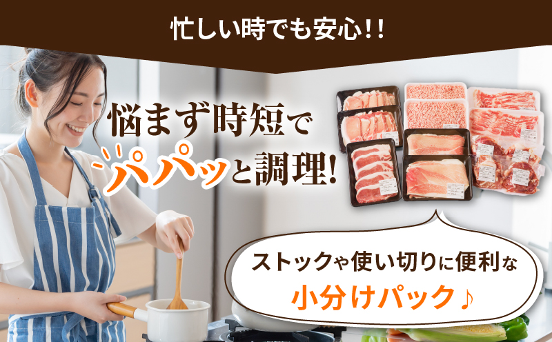 【内容量・2週間以内・発送月が選べる】宮崎県産 豚肉6種 ＼てげスゲーセット／ 2kg 3kg 4.5kg
