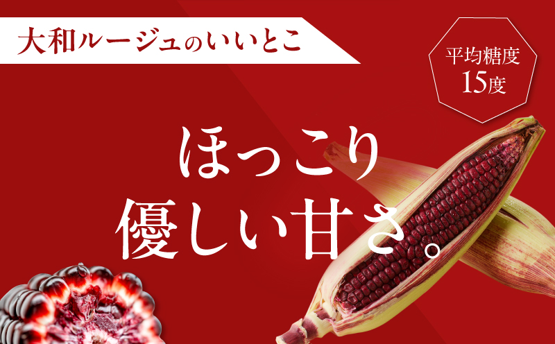 先行予約≪期間限定≫赤いスイートコーン大和ルージュ(約2kg) とうもろこし 野菜 国産_T003-0075