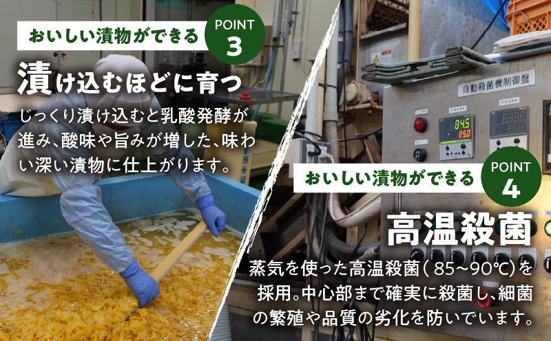FRESH HABANERO(ハバネロ)計3瓶 漬物 おかず 野菜 加工品 国産_T025-048