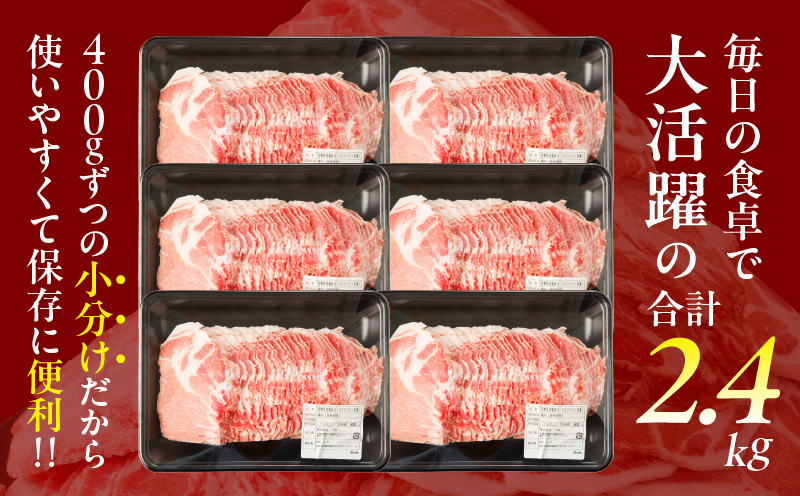 【2週間以内発送】宮崎県産豚肩ローススライス計2.4kg 肉 豚 豚肉 おかず 国産_T009-0083-2W