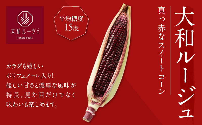 先行予約≪期間限定≫赤いスイートコーン大和ルージュ(約2kg) とうもろこし 野菜 国産_T003-0075