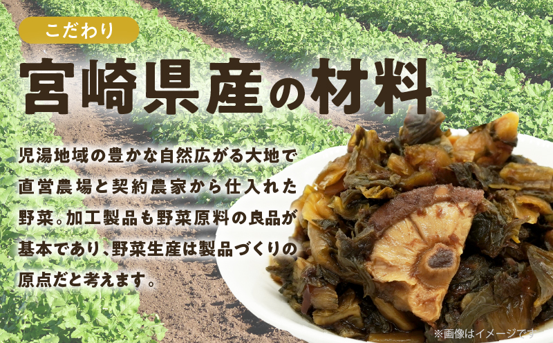 ＼ポスト投函／こだわり醤油高菜(PURE) 計1袋 (80g) 漬物 おかず 野菜 加工品 国産_T025-020