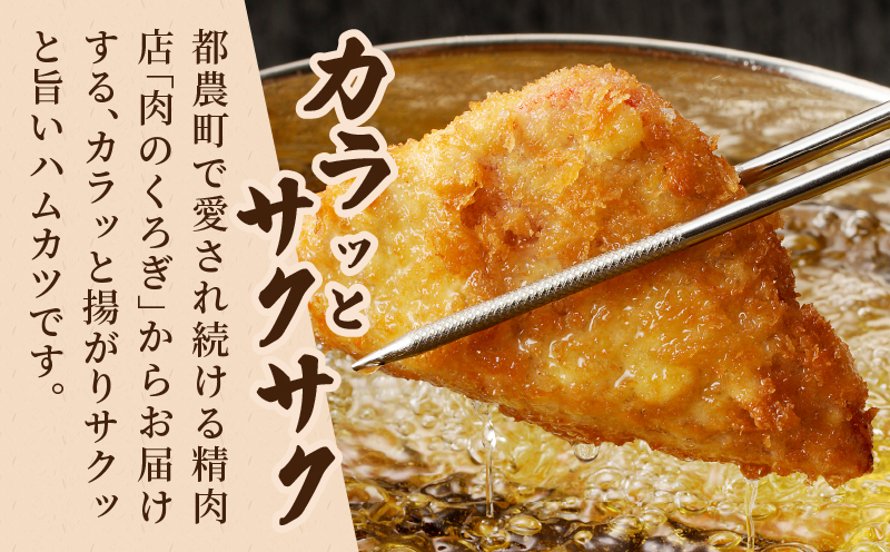 ハムカツ(計12枚) 豚 豚肉 加工品 国産_T006-0021