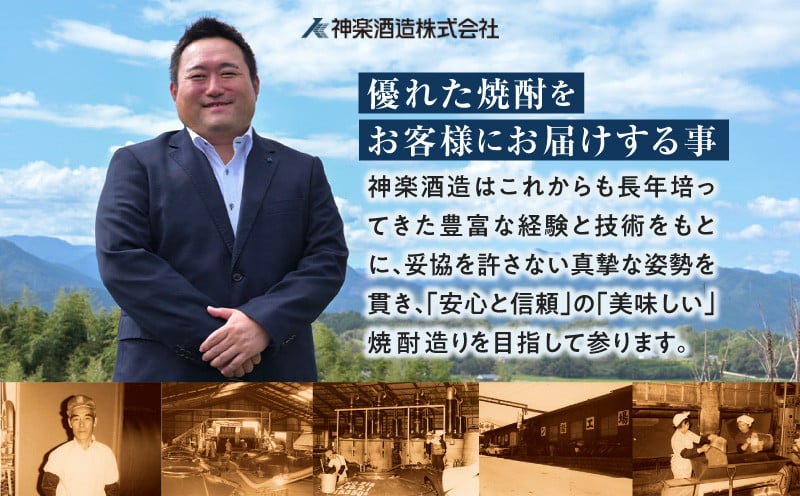手造り梅酒 14% 720ml×2本セット ふるさと納税 梅酒 酒 アルコール 梅酒セット セット 詰め合わせ ロック ストレート 贈答 贈答用 ギフト プレゼント お祝い 祝い 内祝い 記念日 誕生日 お取り寄せ グルメ 家飲み 宅飲み 飲み会 国産 宮崎県 高千穂町 _Tk007-028