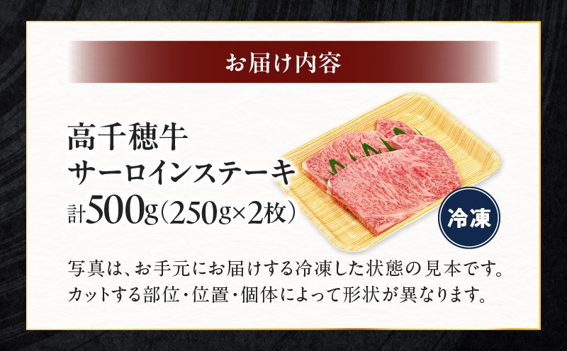 宮崎県産黒毛和牛A4等級以上 高千穂牛サーロインステーキ 250g×2枚 計500g 牛肉 肉 お肉 サーロイン ステーキ ステーキ肉 ブランド牛 和牛 国産牛 国産黒毛和牛 贈り物 贈答 ギフト プレゼント お祝い 内祝い グルメ 記念日 _Tk002-063