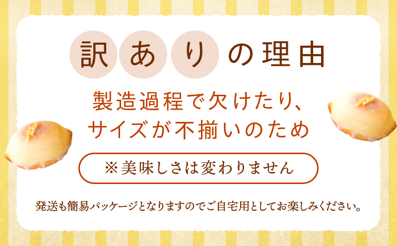 訳あり「宮崎レモンケーキ」 10個入りサイズ不揃い 欠けあり_Tk022-015