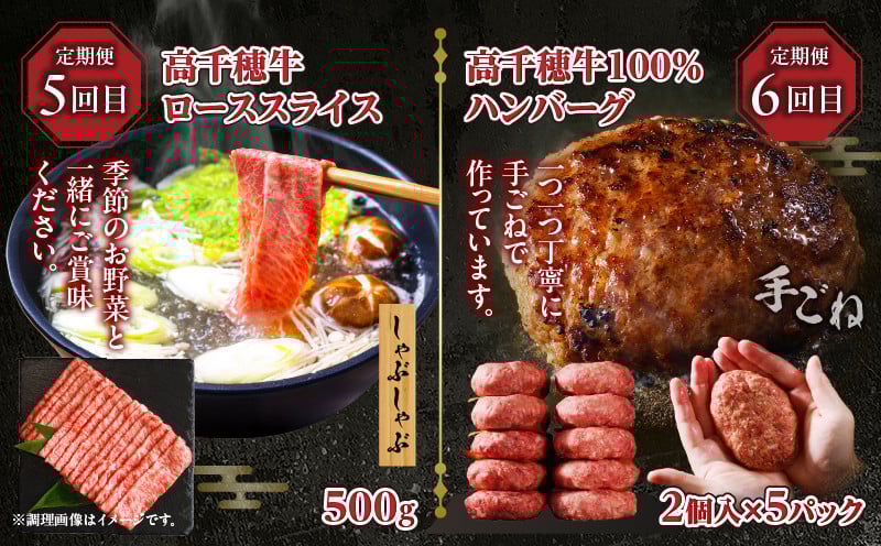 【6か月定期便】高千穂牛煮込み料理6か月定期便_Tk002-t087