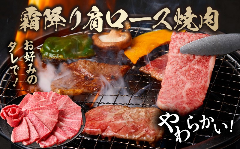 【3ヶ月定期便】 宮崎牛霜降り焼肉・赤身スライス焼きしゃぶ3ヶ月定期便_Tk031-t018