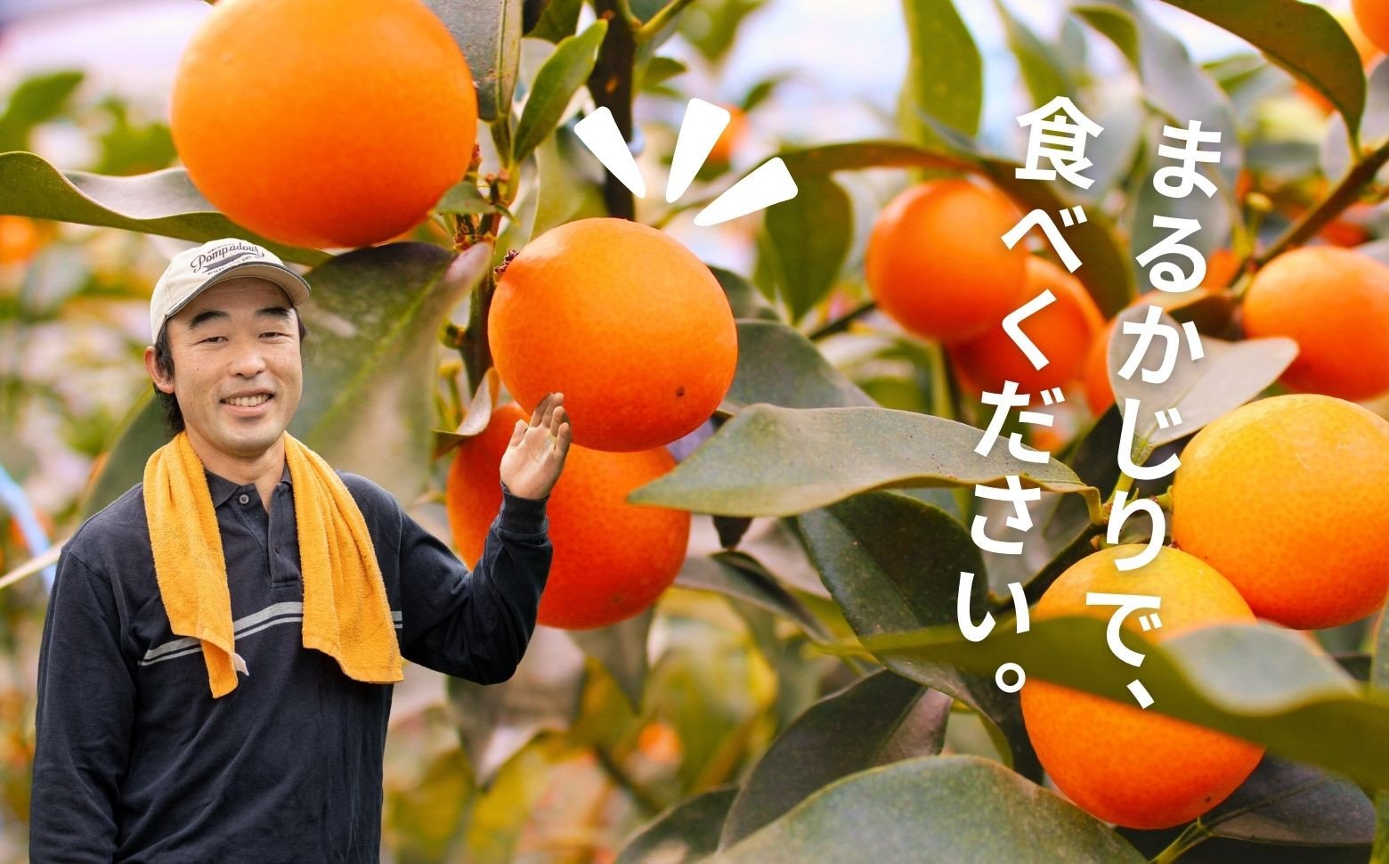 完熟きんかん たまたま 2kg ふるさと納税 果物 フルーツ デザート スイーツ きんかん きんかんたまたま 完熟 宮崎県産 国産 宮崎産 贈答 贈り物 ギフト プレゼント ブランド 柑橘 柑橘系 柑橘類 おやつ グルメ お取り寄せ 宮崎県 高千穂町 _Tk004-050