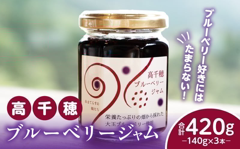 高千穂ブルーベリージャム3本セット_Tk050-005