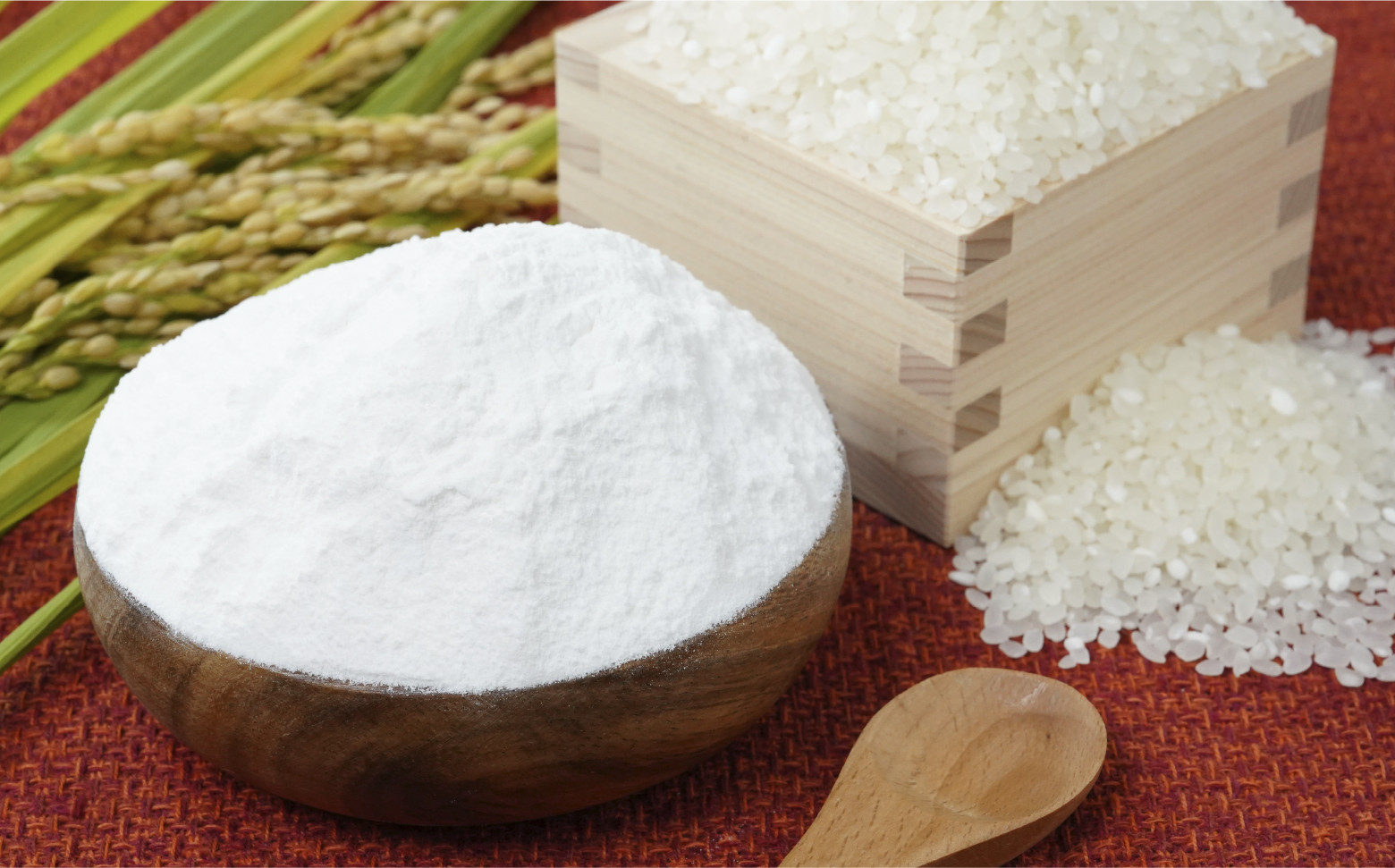 高千穂郷産 米粉 3.2kg（800g×4袋） ふるさと納税 高千穂郷産 米粉 3.2kg（800g×4袋） グルテンフリー 国産 料理 アレンジ バナナケーキ シフォンケーキ ホワイトソース 米粉パン 米粉スイーツ 米粉料理 食生活 低GI 普段使い 使い勝手 ジップ付き チャック付き 高千穂町 岩戸精米所 宮崎県 _Tk019-026