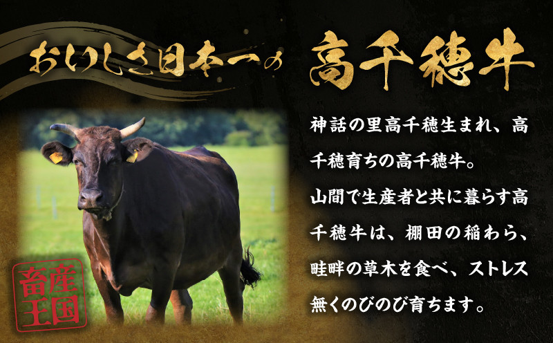 高千穂牛ローストビーフ 300g_Tk036-005