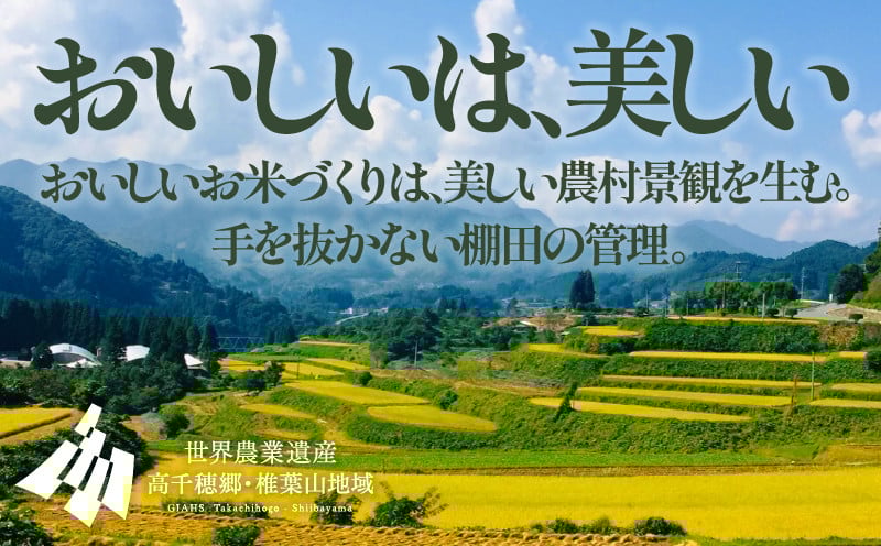 《令和7年産　新米》13代目甲斐長衛門が選び抜いた 高千穂産 ひのひかり 長衛門米 5kg_Tk019-028