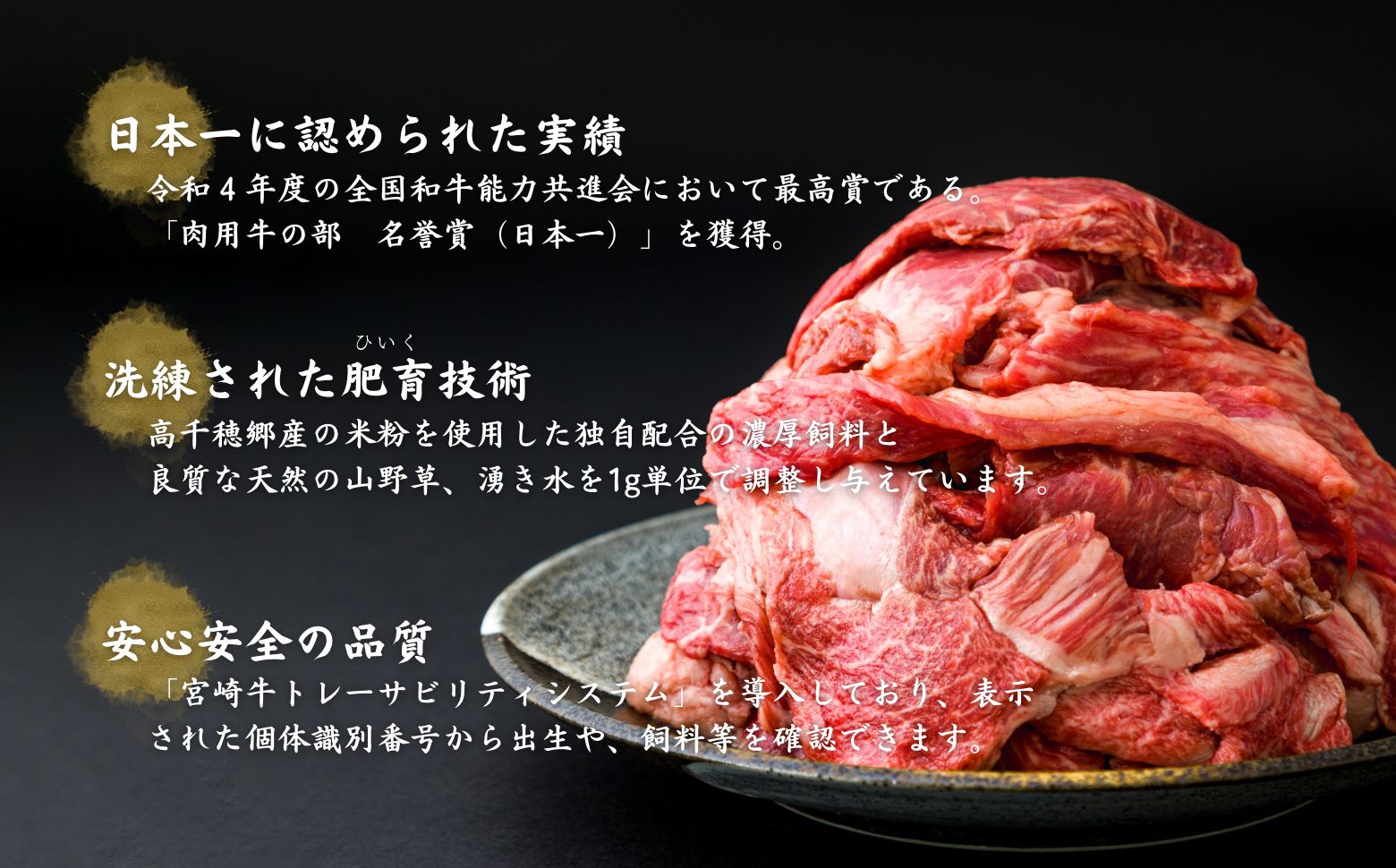 宮崎県産黒毛和牛A4等級以上 高千穂牛すじ 500g×2パック 計1kg 牛肉 肉 お肉 精肉 ブランド牛 国産牛 黒毛和牛 国産 国産牛肉 料理 煮込み料理 カレー おでん 牛すじ煮込み 牛すじカレー 普段使い グルメ お取り寄せ 小分け ギフト プレゼント 宮崎県 高千穂町 _Tk002-066